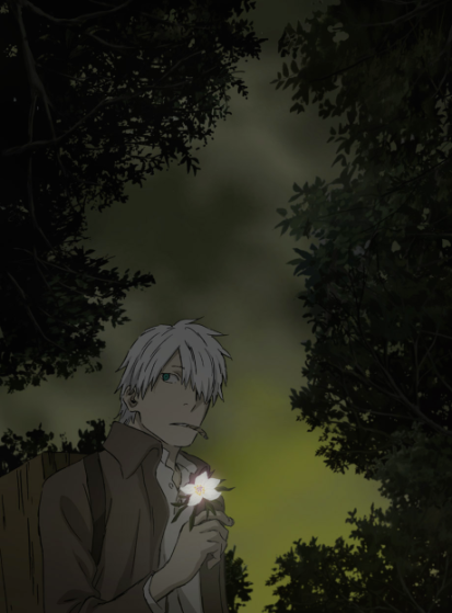 الحلقة الخاصة Mushishi: Hihamukage مترجمة